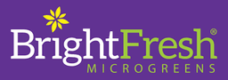 Bright Fresh