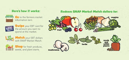 SNAP Market Match