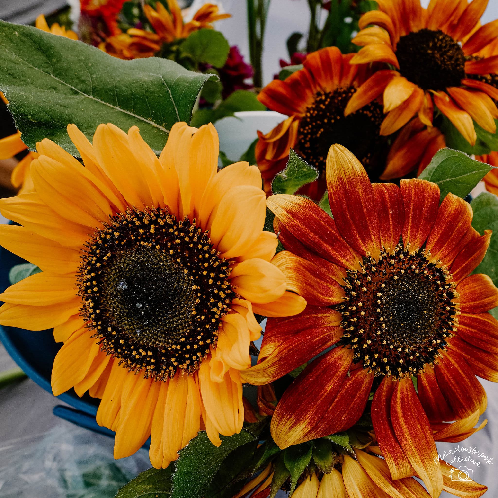 Sunflowers at the market
